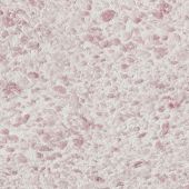 Жидкие обои Рельеф Г-331*